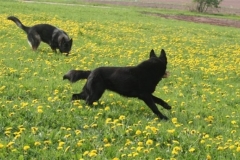 Briga & Inka Frühjahr 2010 Bild Nr. 5