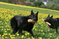 Briga & Inka Frühjahr 2010 Bild Nr. 11