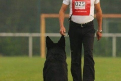 LGA 2017 Arek & Eyk Bild Nr. 13