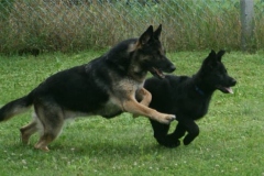 tn_IMG_1710