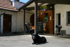 Das 12. Bild von unserem Zuhause