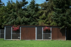 Das 17. Bild von unserem Zuhause