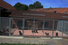 Das 19. Bild von unserem Zuhause