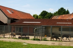 Das 21. Bild von unserem Zuhause